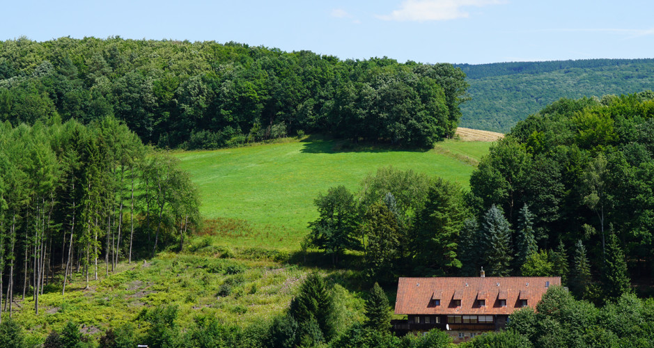Family Retreat in der Natur