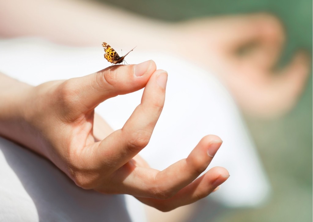 meditieren lernen schmetterling handhaltung